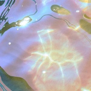 Meet your Posher, Jasmeen